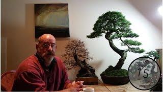 Deadwood on Bonsai (Jin, Shari and Uro), Will Baddeley