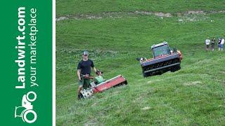 Landwirtschaft auf der Alm | landwirt.com