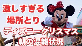 【激しすぎる場所取り】ディズニークリスマス 朝の混雑状況 2024.12.8