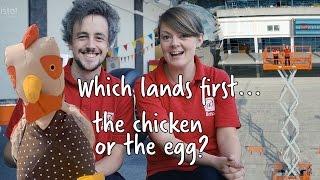 Which lands first... the chicken or the egg? | We The Curious