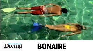 World's Best Diving & Resorts: Bonaire