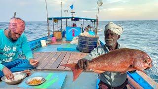 5 Days of Fishing Adventure Full video | ஒரு கடல்  முழுமையான பதிவு