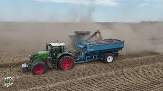 Two Gleaner S97 Super Series Combines Harvesting Wheat near Alva Oklahoma