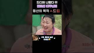 (등산의 목적)김의성 배우님의 폭주ㅋㅋㅋㅋㅋ이수지 정이랑 도랏멘