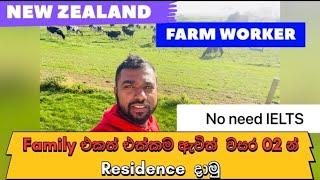 Working in New Zealand Dairy Farm ගොවිපල රැකියාවකට සුදුසුකම් මොනවාද? #Farmworkernewzealand