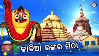 Nima Patara Pita | ନିମ ପତର ପିତା । ପ୍ରଶାନ୍ତ ପାଢ଼ୀଙ୍କ କଣ୍ଠରେ ସୁନ୍ଦର ଓଡ଼ିଆ ଭଜନ