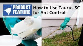 How to Use Taurus SC For Ant Control | DoMyOwn.com