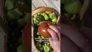 Harvest Haul Oct 1, 2024 #gardening #canadiangardener