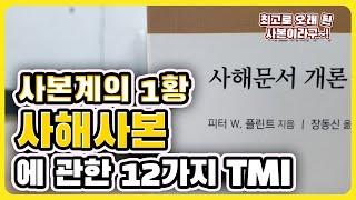 사해문서 개론(가장 오래 된 사본인 사해사본에 관한 12가지 TMI)