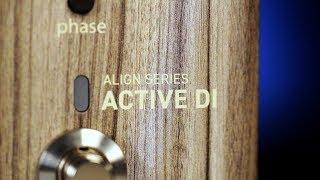 LR Baggs Align Active Acoustic DI Pedal