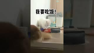 是谁半夜不睡觉！