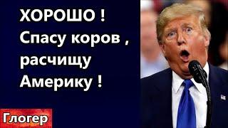 ХОРОШО ! Спасу коров расчищу Америку Трамп  кидает лозунги ! В феврале начну кушать тушенку !#глогер