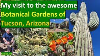 My Visit to the Cacti & Succulents of TUCSON BOTANICAL GARDEN, Arizona, USA #cacti #succulents