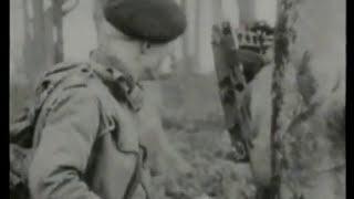 LSD Army Experiment