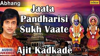 Jaata Pandharisi Sukh Vaate - Ajit Kadkade : Marathi Abhang | Audio Jukebox