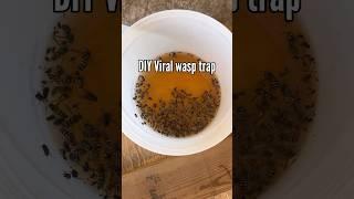 Viral Wasp Trap #Hack #wasptrap #hacksthatwork #homehacks