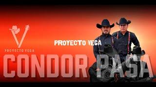 CONDOR PASA - PROYECTO VEGA