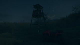 theHunter:COTW Hunting Tower bug