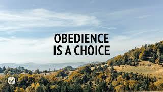 Obedience Is a Choice | Audio Reading | Our Daily Bread Devotional | November 18, 2024