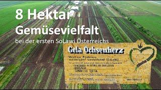 SoLawi, Market Garden Gemüseanbau mit dem Turiel-Dammkultur System #regenerativelandwirtschaft