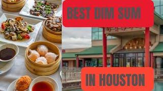 Enjoying DELICIOUS Dim Sum at Ocean Palace I among best dim sum restaurant in Houston!