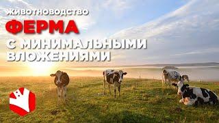 Ферма с минимальными вложениями | Поддержка фермеров | Гранты фермерам