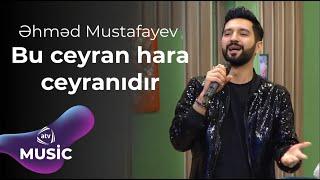 Əhməd Mustafayev - Bu ceyran hara ceyranıdır