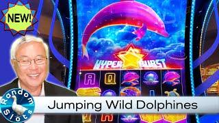 Dolphine Voyage Slot Machine Bonus