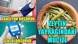 ZEYTİN YAPRAĞI MUCİZESİ