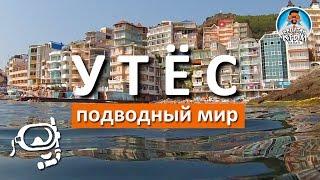 КРЫМ. УТЁС. ПОДВОДНЫЙ МИР. КАПИТАН КРЫМ
