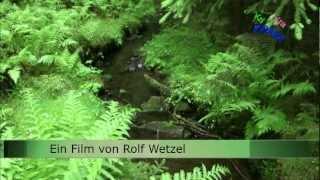 Der Wasserkreislauf  (Teaser)