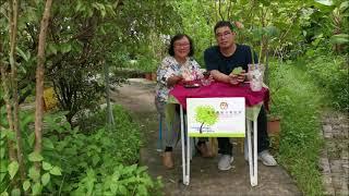 Sharing Workshop of HT Practical Skills - Harvesting Lotus Seeds