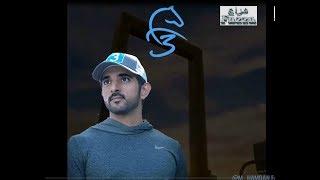 Crown Prince of Dubai Sheikh Hamdan ( فزاع Fazza)