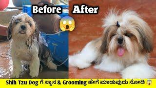 Shih Tzu Dog ಗೆ ಸ್ನಾನ ಮಾಡಿಸುವ ಸುಲಭ ವಿಧಾನ | ನಮ್ಮ Tequila Bath & Grooming Day | Pet care kannada