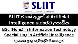 SLIIT BSc (Hons) in Information Technology Specializing in AI උපාධිය ගැන සිංහලෙන් | By Dev School