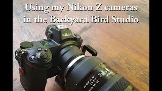 Using the Z7 for Backyard Bird Photography