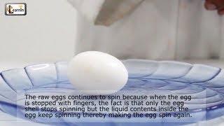Spinning Eggs | Inertia Demo | Science Experiment