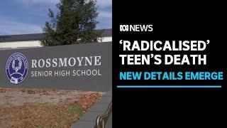 More details emerge about 'radicalised' teen shot dead by police | ABC News