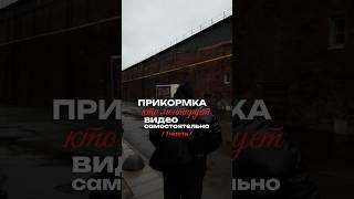 Сайты для тех, кто монтирует видео самостоятельно  #материалыдля монтажа