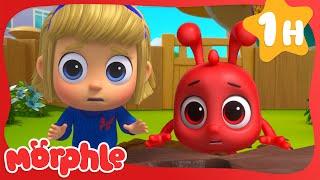 Treasure Hunt 🪙 | Fun Animal Cartoons | @MorphleTV  | Learning for Kids