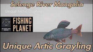 Fishing Planet - Unique Artic Grayling - Selenge River Mongolia