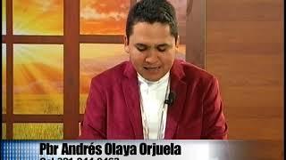 ANDRES OLAYA 04