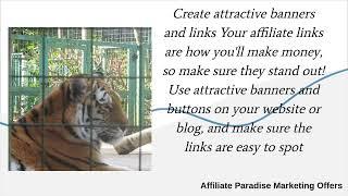 Affiliate Paradise Marketing