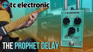 The Best Budget Delay Pedal ? TC Electronic The Prophet Delay Demo