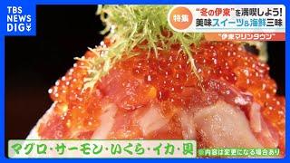 食べて！遊んで！癒やされて！“冬の伊東”を遊び尽くす！｜TBS NEWS DIG