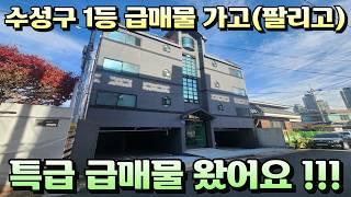 [대구원룸매매]일등가고 특급 온다. 수성구 최저가 특급급매물 임대수요 받쳐주는 들안길 수성못부근 리모델링된 구축