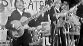 The Easybeats - For My Woman