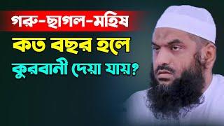 গরু মহিষ ছাগল কত বছর হলে কুরবানী দেওয়া যাবে? Mamonul Haque