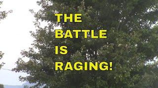 PROPHETIC WORD: The Battle is Raging!