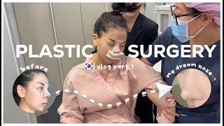 I GOT A NOSE JOB IN KOREA  plastic surgery vlog (INDO SUB) | Erna Limdaugh